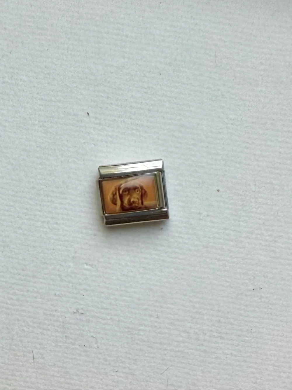 Italian-themed Stainless Steel Charm with Chocolate Labrador Retriever Puppy